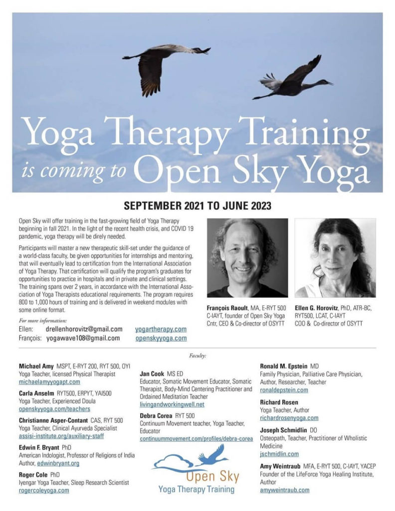 Open Sky Rochester Yoga Event
